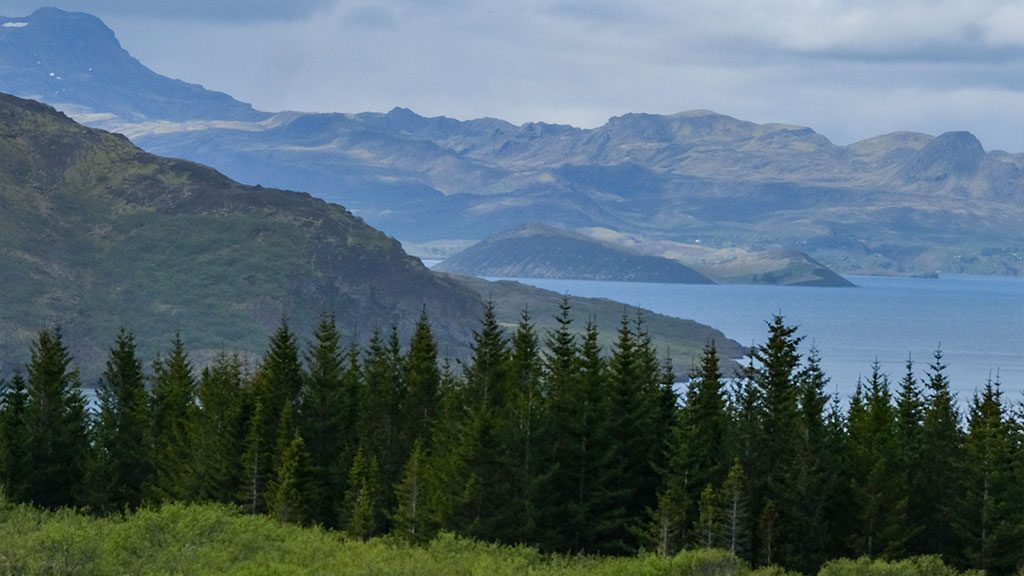 A+ Adventure: Iceland With My Daughter