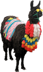 travel-invite-colorful-decorated-llamas-